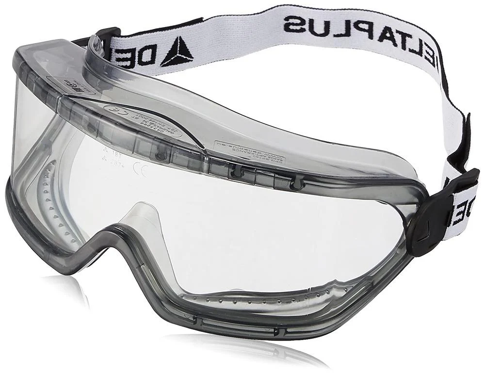 Delta Plus Polycarbonate Goggles with Indirect Ventilation - Clear
