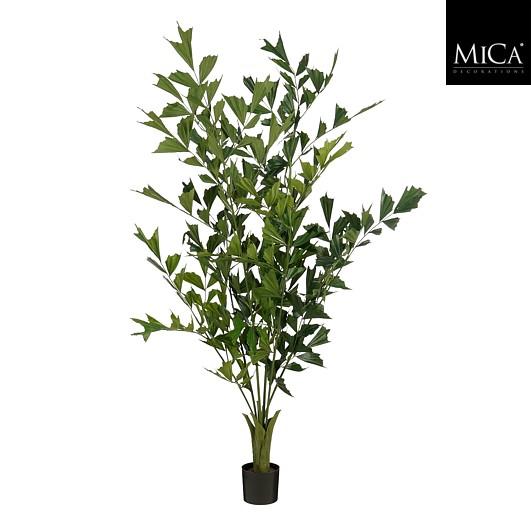 Fishtail Palm In Pot Green - H190Xd120Cm