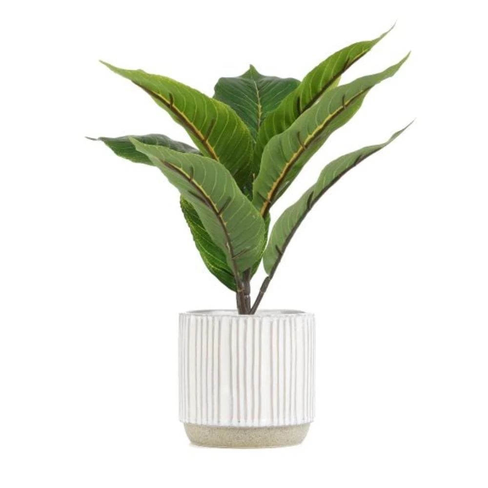 Homla Semela Artificial Flower Green 36 cm