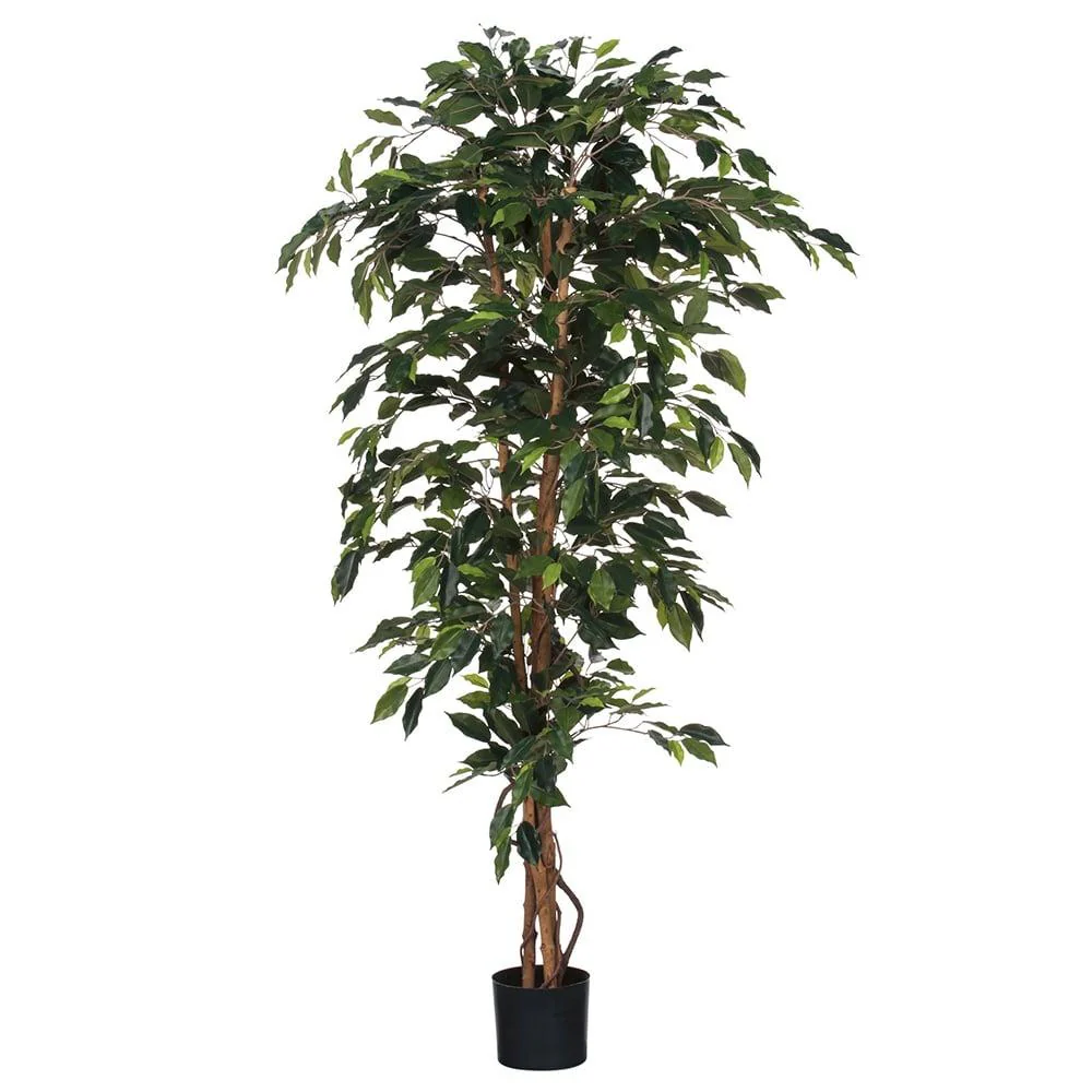 Mica Decorations Ficus Artificial Plant - H170 x ÃƒÆ’Ã‹Å“80 cm - Green