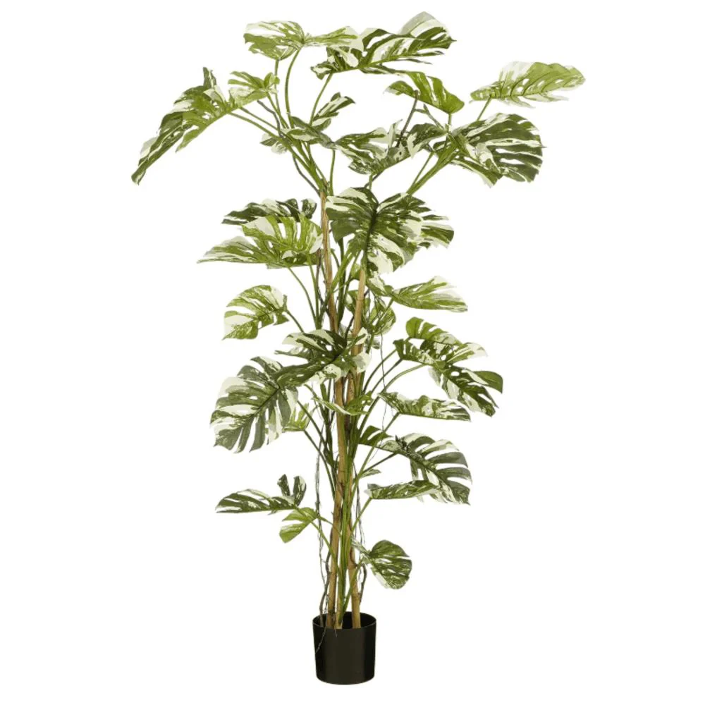 Mica Decorations Monstera In Pot Green - H190 x D145cm